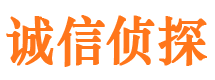 船山市侦探调查公司